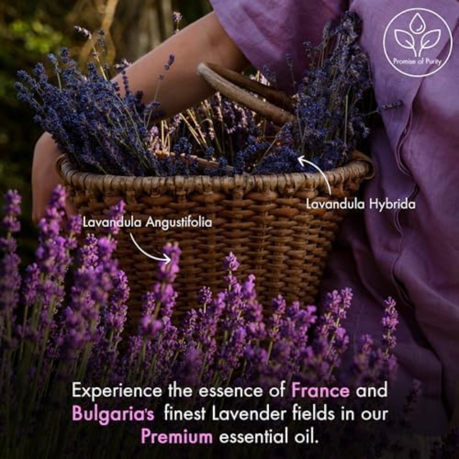 Majestic Pure ential Oil with  - Candle Making Oils review and price